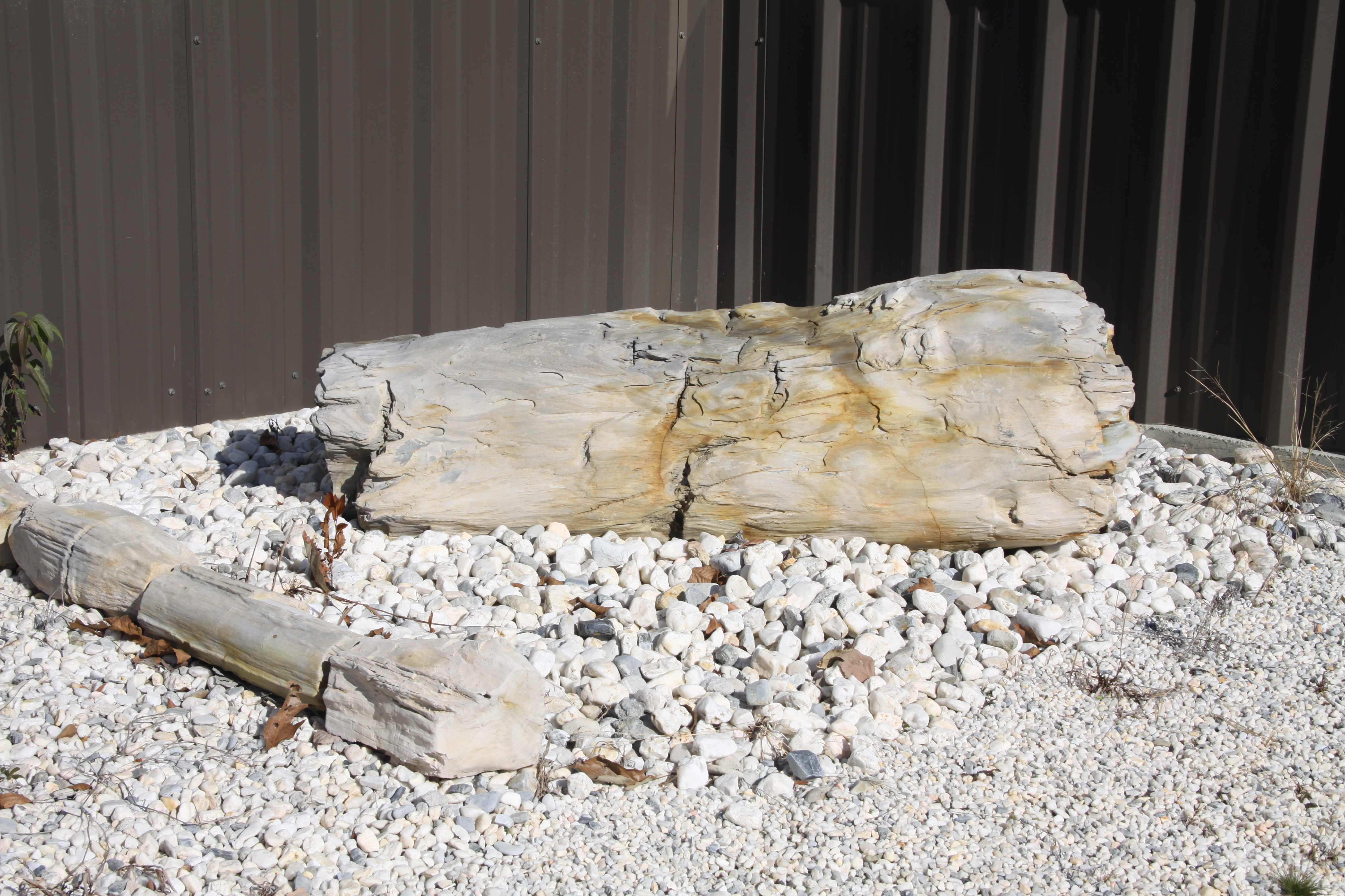 Petrified wood recovered from our deposit - Not available for purchase