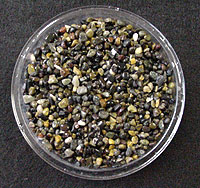 Black Pearl